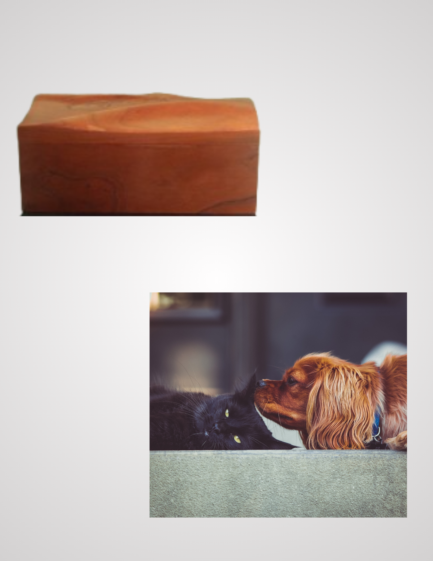 Pet Cremation Box (Rustic Cherry)