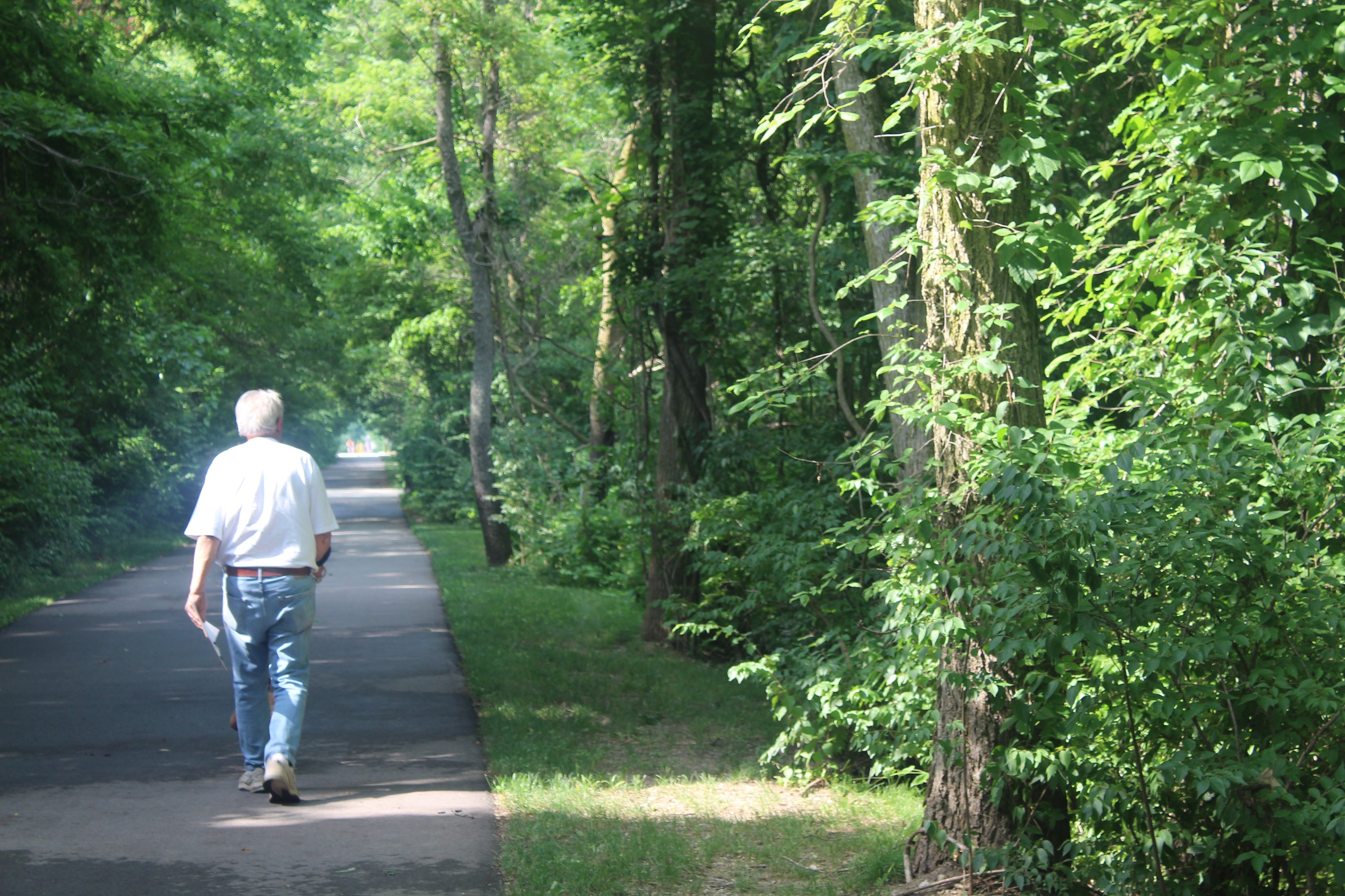 Man walking down a paved path lined with trees on both sides