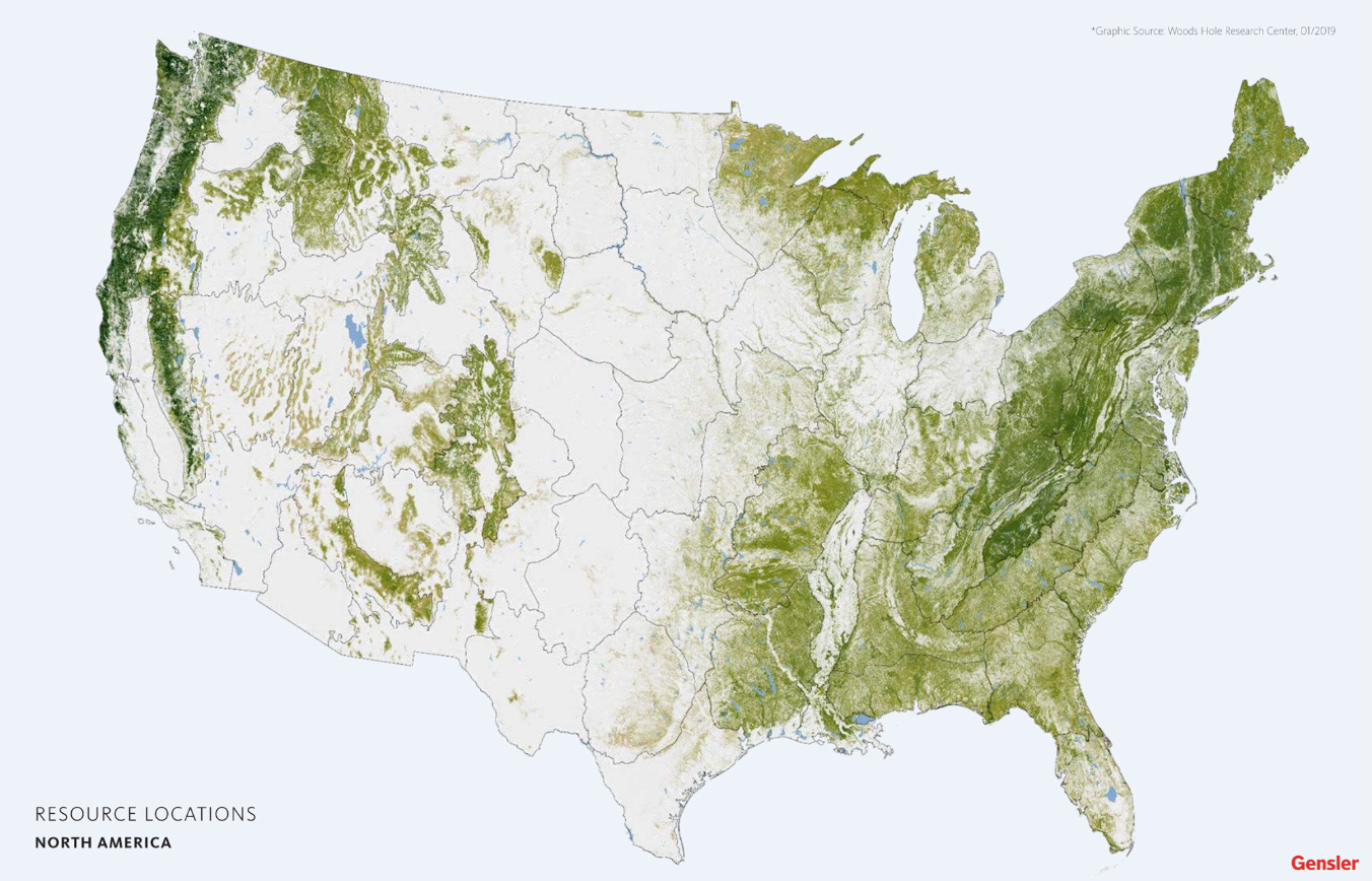 Map of North America with resource locations highlighted in green on a white background of where domestic woods are located. Wood working business in northern Indiana.