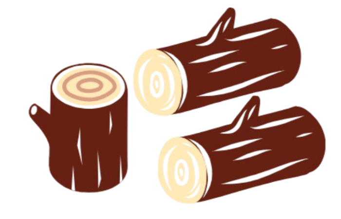 Three logs with different orientations on a white background